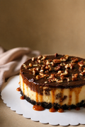 Cheesecake — Turtle